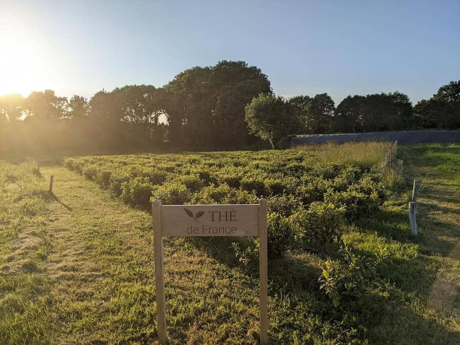 Maison Typique Bretonne Avec Toit De Chaume Camors Exteriér fotografie